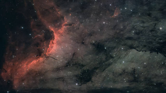 Pelikankopf Thumbnail